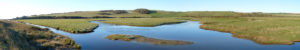 lower-cuckmere-2-1200x200