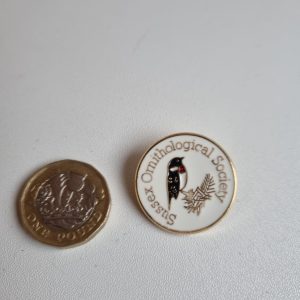 Enamel Badge