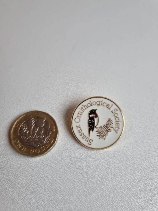 Enamel Badge