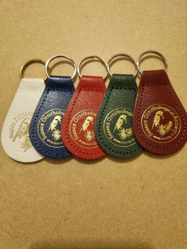 Leather Key Ring