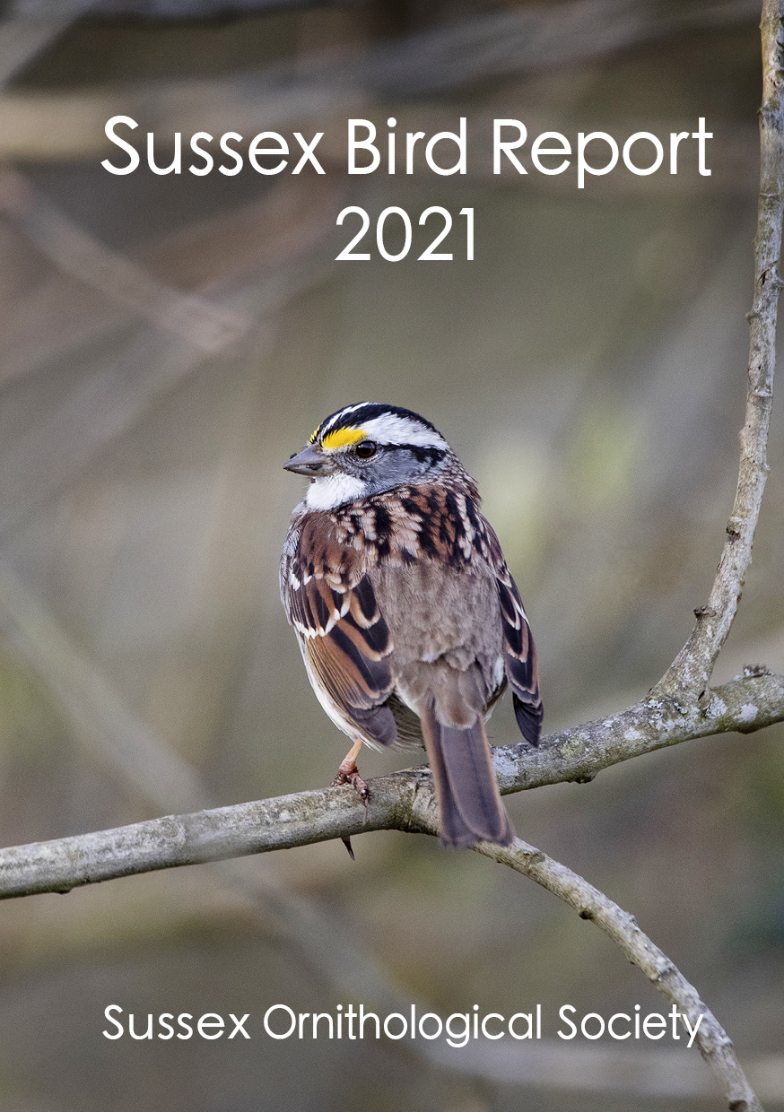 Sussex bird report 2021 just published the sussex ornithological